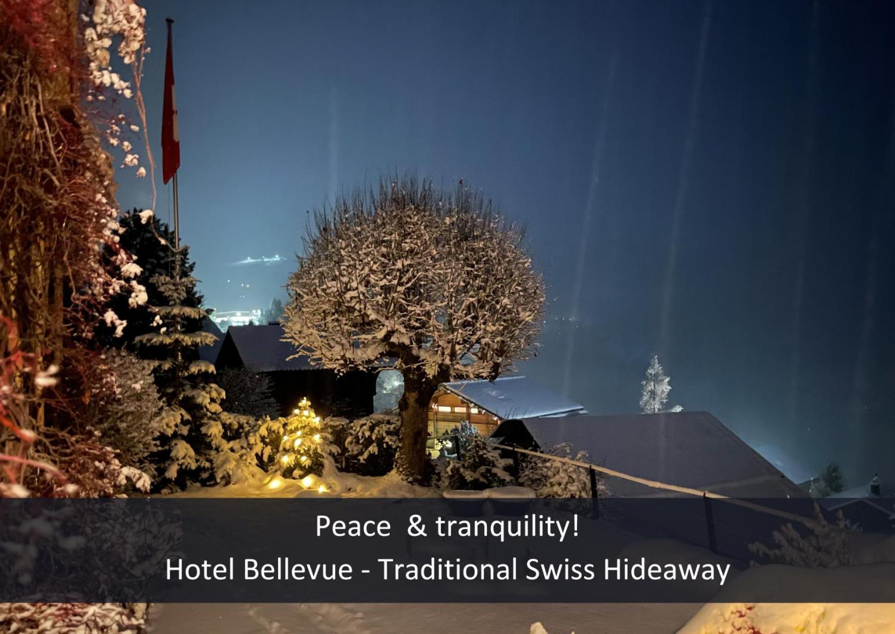 Hotel Bellevue - Traditional Swiss Hideaway Wengen Exterior photo